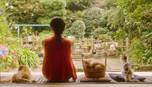 WOMEN IN FILM & PHOTOGRAPHY 2015