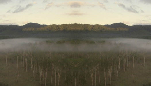 SHORTS ARE HOT! THE ROLE OF SHORT FILMS IN THE FILM LANDSCAPE