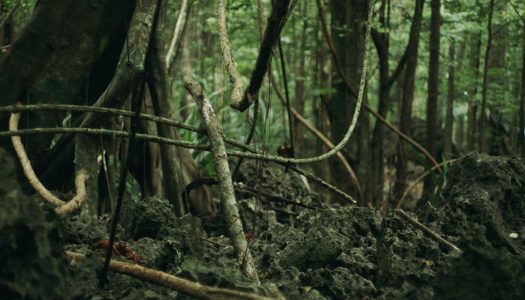STORIES THAT MATTER: ISLAND OF THE HUNGRY GHOSTS