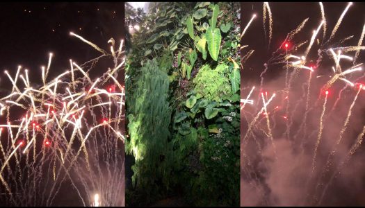CURATOR OPEN CALL RECIPIENT 2020