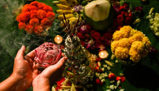 CURATOR OPEN CALL RECIPIENT 2021
