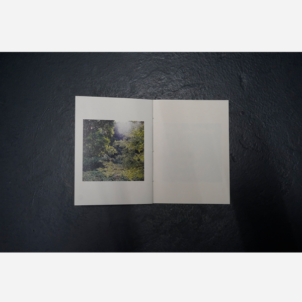Secrets by Genevieve Leong