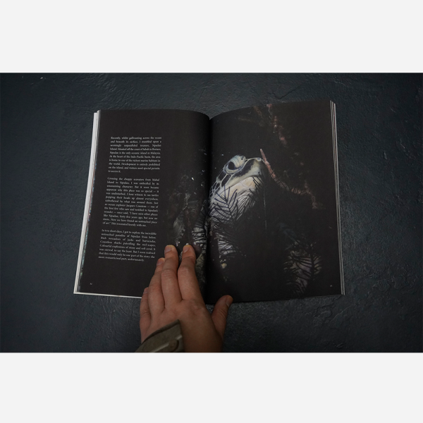 Now & Again Magazine - Sound