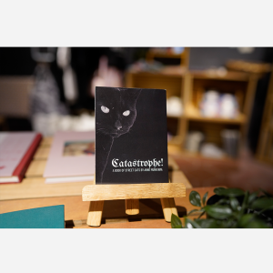 Catastrophe by Anne Murayama