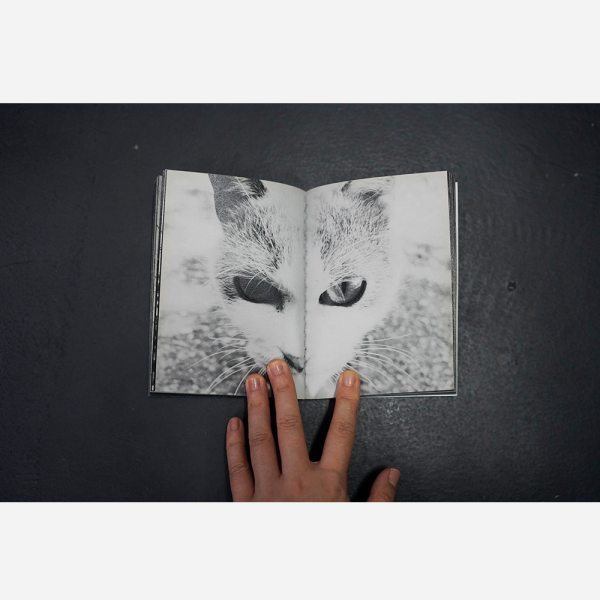 Catastrophe by Anne Murayama