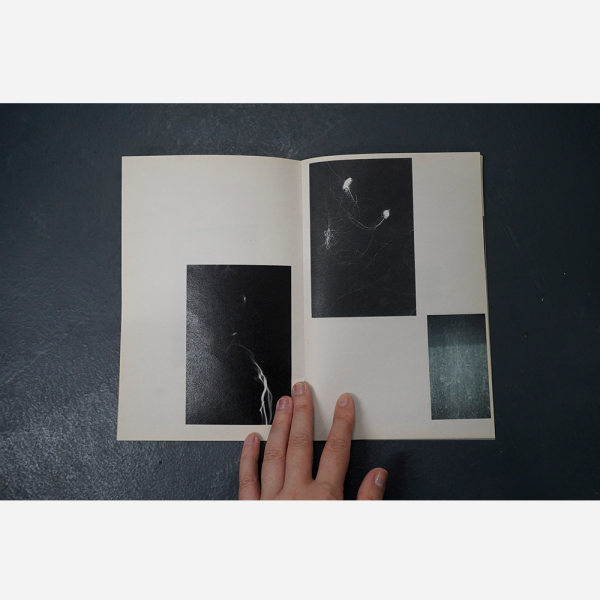 On Things Fugitive by Angelica Ong