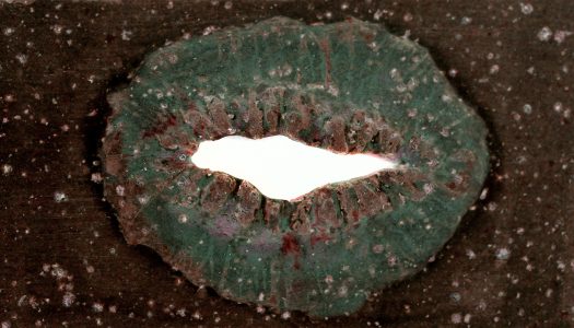 OBJECTIFS FILM CLUB x WALTER BENJAMIN READING GROUP: DANCE OF A HUMBLE ATHEIST