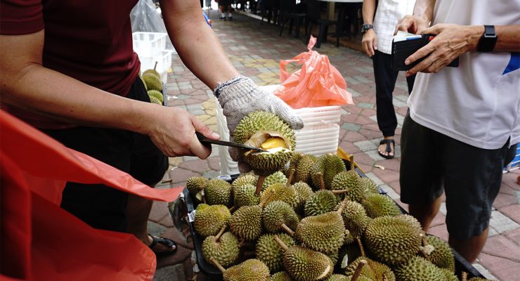 Photos by past workshop participants