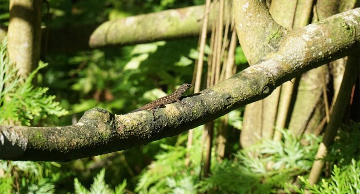 Photos by past workshop participants