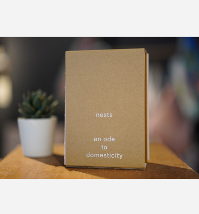 Nests - an ode to domesticity