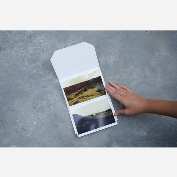 Horses and Canaries postcards by Robert Zhao