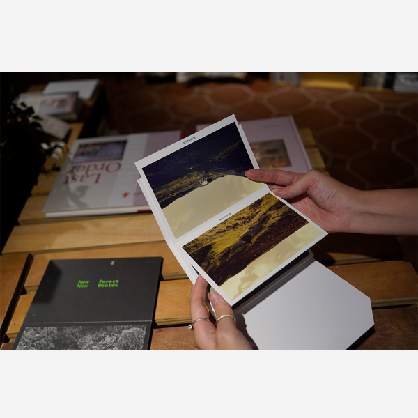 Horses and Canaries postcards by Robert Zhao