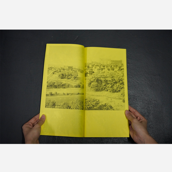 5 Albizias by Robert Zhao