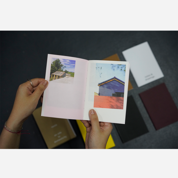 Nests - an ode to domesticity
