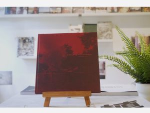 BURN AFTER SEEING by Toshiya Murakoshi