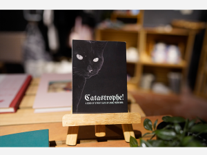 Catastrophe by Anne Murayama