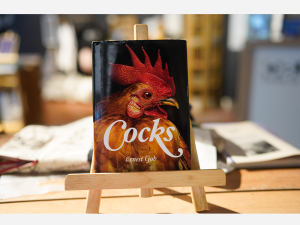 COCKS by Ernest Goh