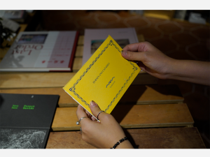 Horses and Canaries postcards by Robert Zhao