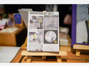 Mountain of Salt by Bindi Vora