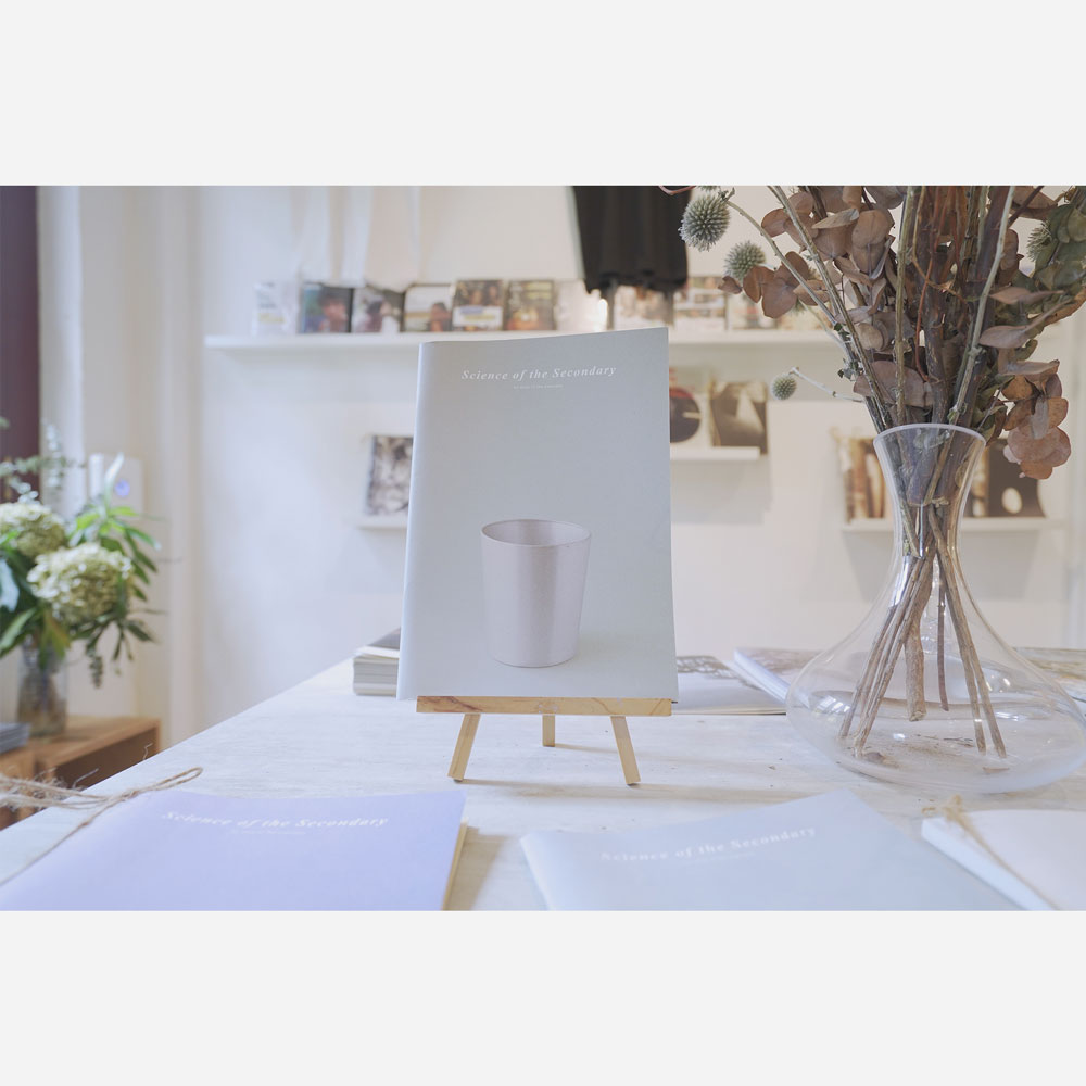 Science of the Secondary - Bin