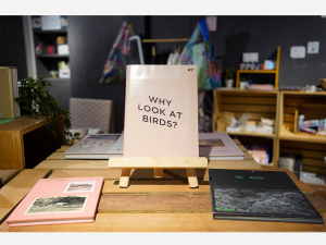 Why look at birds by Robert Zhao