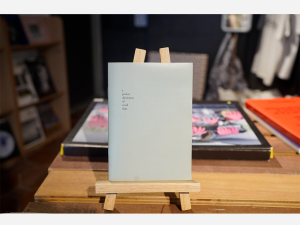 A pocket dictionary of word slips by Genevieve Leong