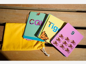 Animals Flash Cards by Charles Teo
