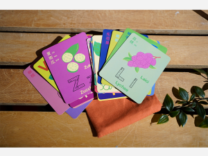 Fruits Flash Cards by Joy Koh