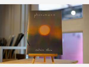 Phenomena by Calvin Chow