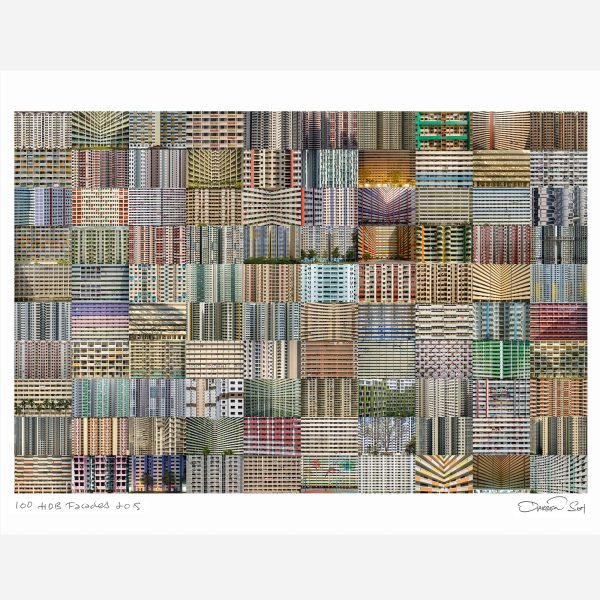 Before it All Goes by Darren Soh - 100 HDB Facades