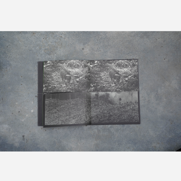 New Worlds by Robert Zhao - Image 3