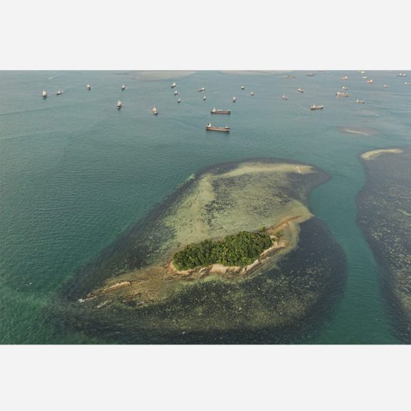 Prints by Richard W J Koh - Reef Bird (2014), 40 cm x 27 cm