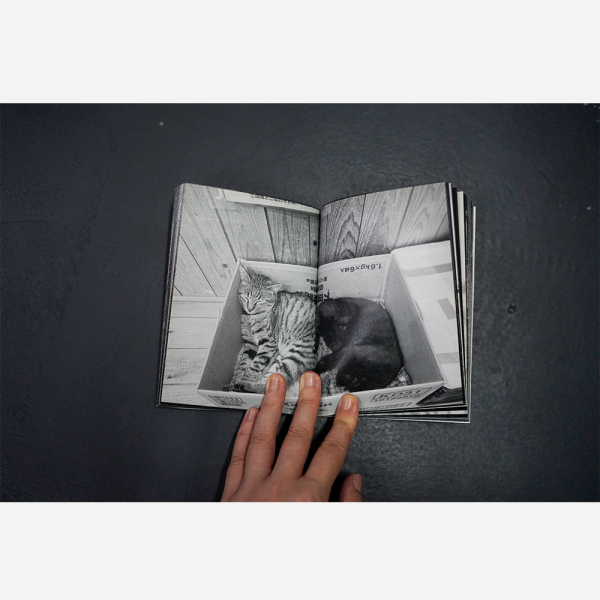 Catastrophe by Anne Murayama - Image 2