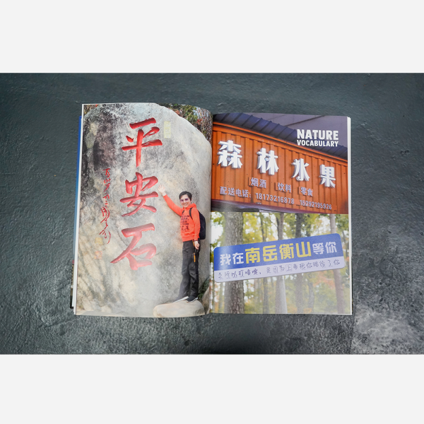 Imagine Chinese by Armelle Burke - Image 4