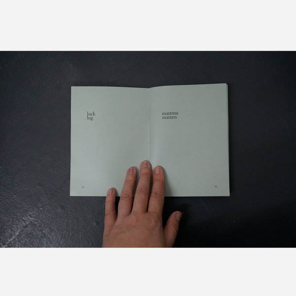 A pocket dictionary of word slips by Genevieve Leong - Image 4