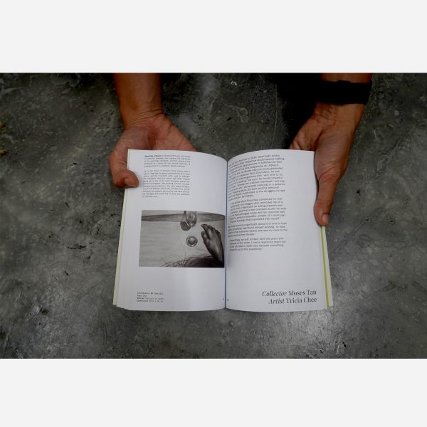 ARTIST AS COLLECTOR by Comma Space - Image 2