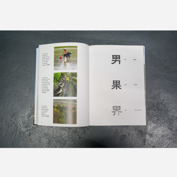 Imagine Chinese by Armelle Burke - Image 3