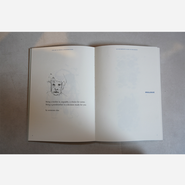 The Art of Being A Grandmother - An Incomplete Diary of Becoming by Dana Lam - Image 3