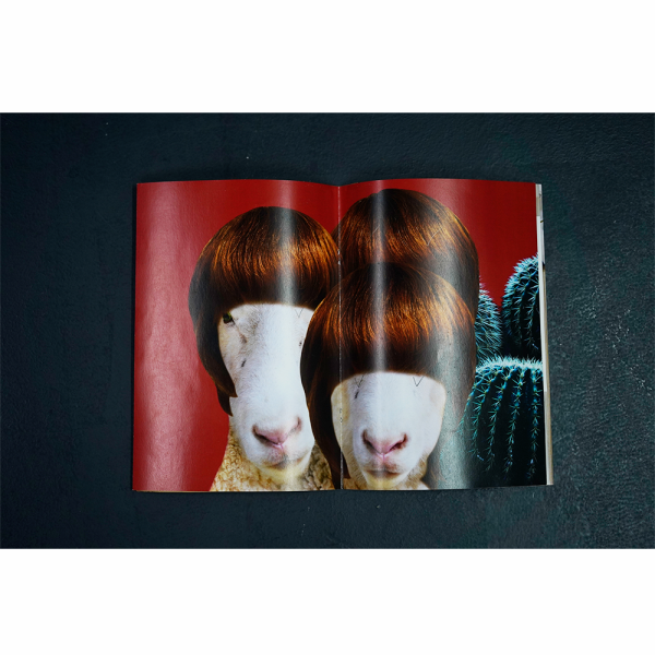 space (Reprinted - White sheep) by Sesame Space - Image 4