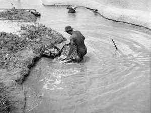 Time and Tide by Foo Tee Jun - Workers collecting seashells, c. 1960s