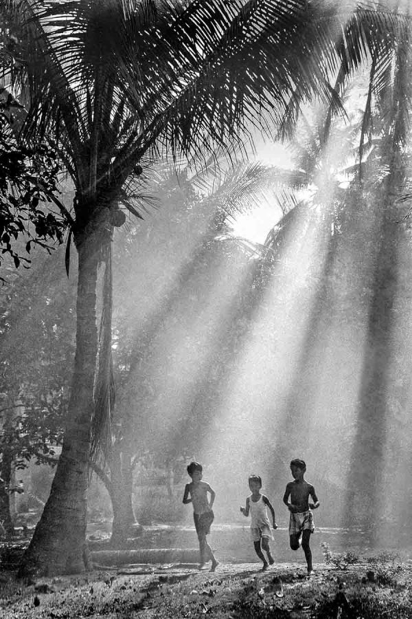 Time and Tide by Foo Tee Jun - Early morning in coconut forest, 1963