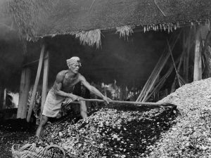 Time and Tide by Foo Tee Jun - Worker shovels seashells in Mata Ikan, c. 1960s