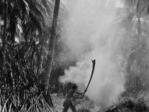Time and Tide by Foo Tee Jun - Worker at plantation in Mata Ikan, c. 1960s