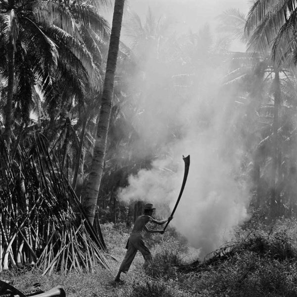 Time and Tide by Foo Tee Jun - Worker at plantation in Mata Ikan, c. 1960s