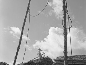 Time and Tide by Foo Tee Jun - Worker at sawmill along Kampong Arang, c. 1960s
