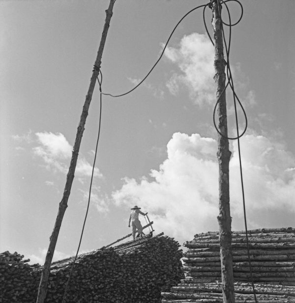 Time and Tide by Foo Tee Jun - Worker at sawmill along Kampong Arang, c. 1960s