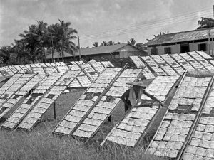 Time and Tide by Foo Tee Jun - Worker places vermicelli out to dry at Tika Latu, c. 1960s