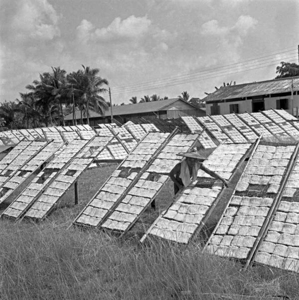 Time and Tide by Foo Tee Jun - Worker places vermicelli out to dry at Tika Latu, c. 1960s