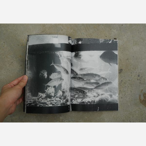 Anomalies 1 by Anne Murayama - Image 2