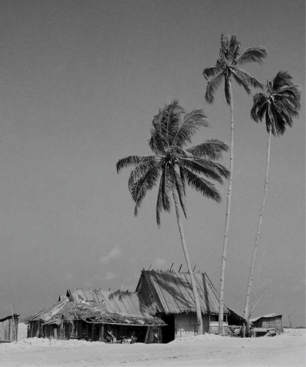 Passing Time by Lui Hock Seng - Attap houses, Jurong, c. 1960s-70s